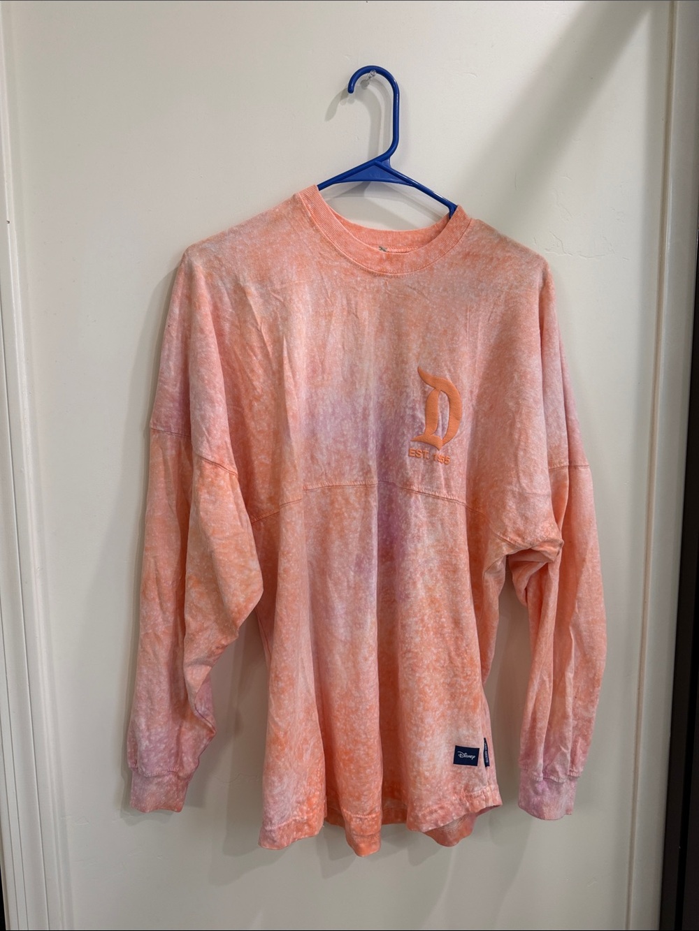 Disneyland Spirit Jersey